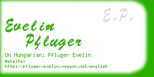 evelin pfluger business card